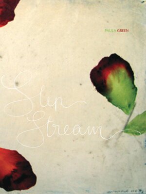 cover image of Slip Stream